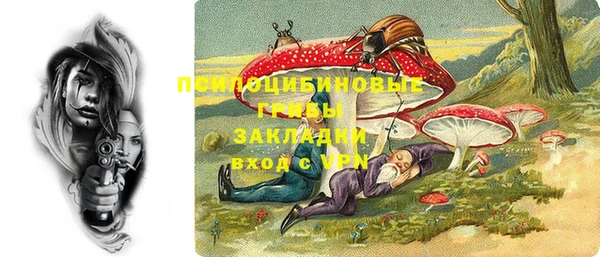 прущие крисы Осташков