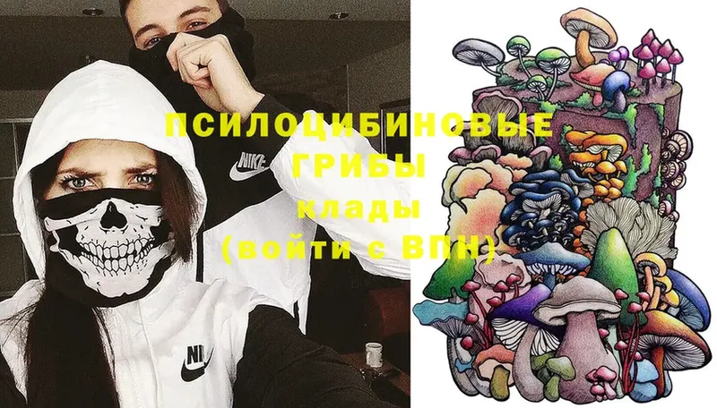 omg зеркало  Льгов  Галлюциногенные грибы Magic Shrooms 